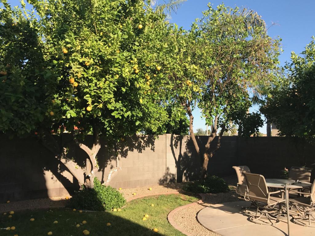 2523 Estrella St, Gilbert, AZ 85296 photo 18