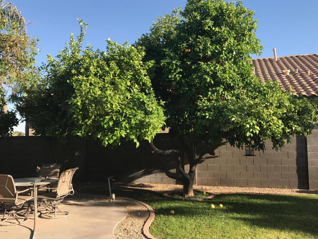 2523 Estrella St, Gilbert, AZ 85296 photo 11