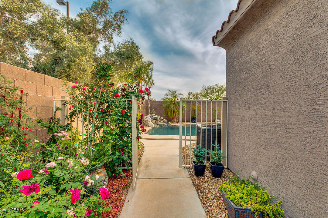 3549 E Flower St, Gilbert, AZ 85298 photo 49