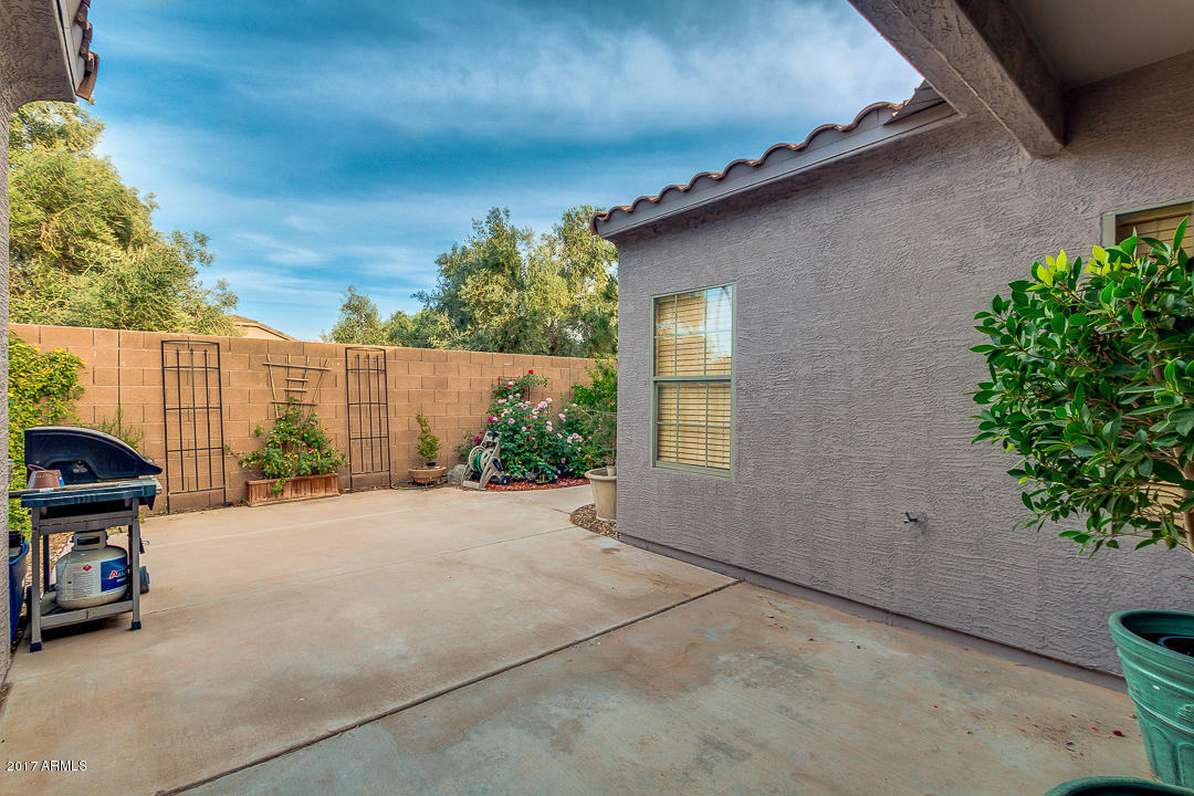 3549 E Flower St, Gilbert, AZ 85298 photo 44