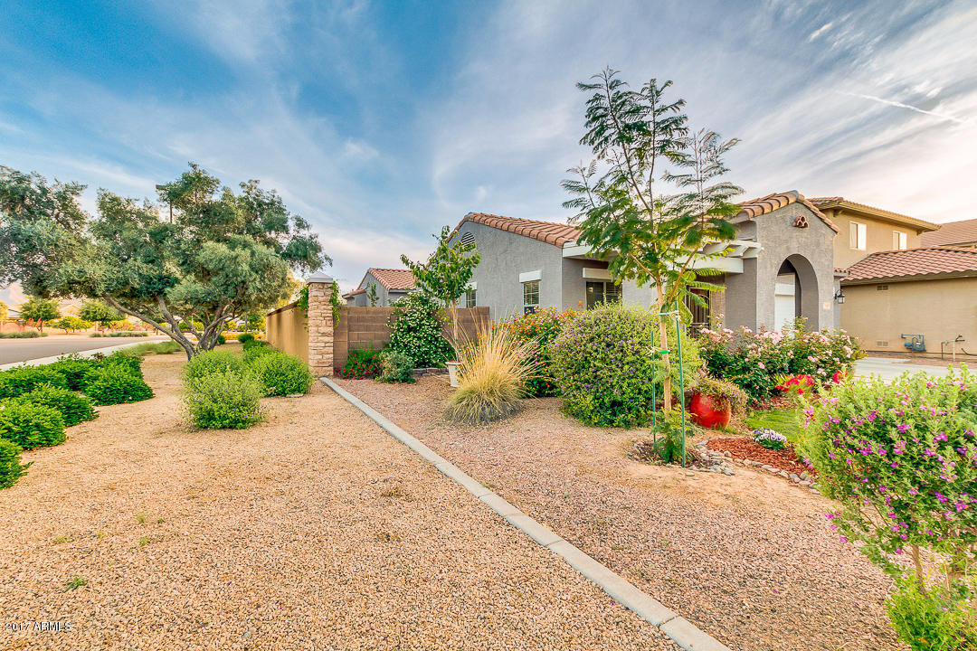 3549 E Flower St, Gilbert, AZ 85298 photo 10
