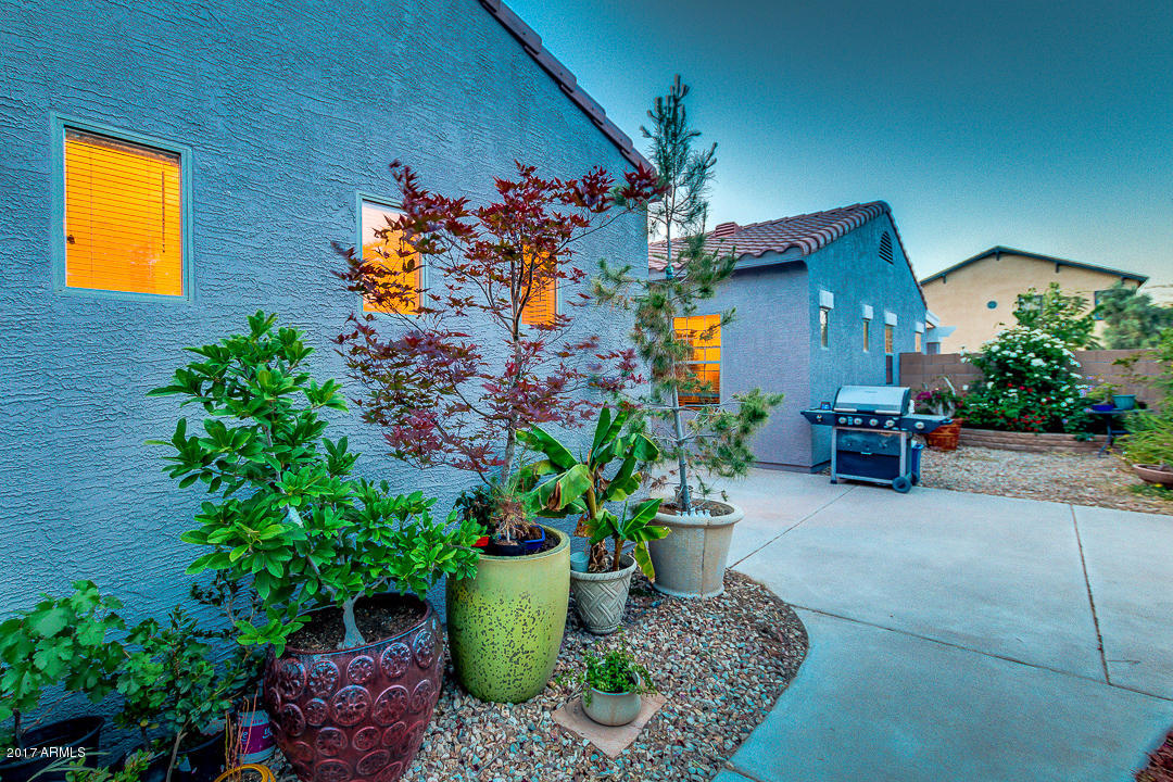 3549 E Flower St, Gilbert, AZ 85298 photo 40