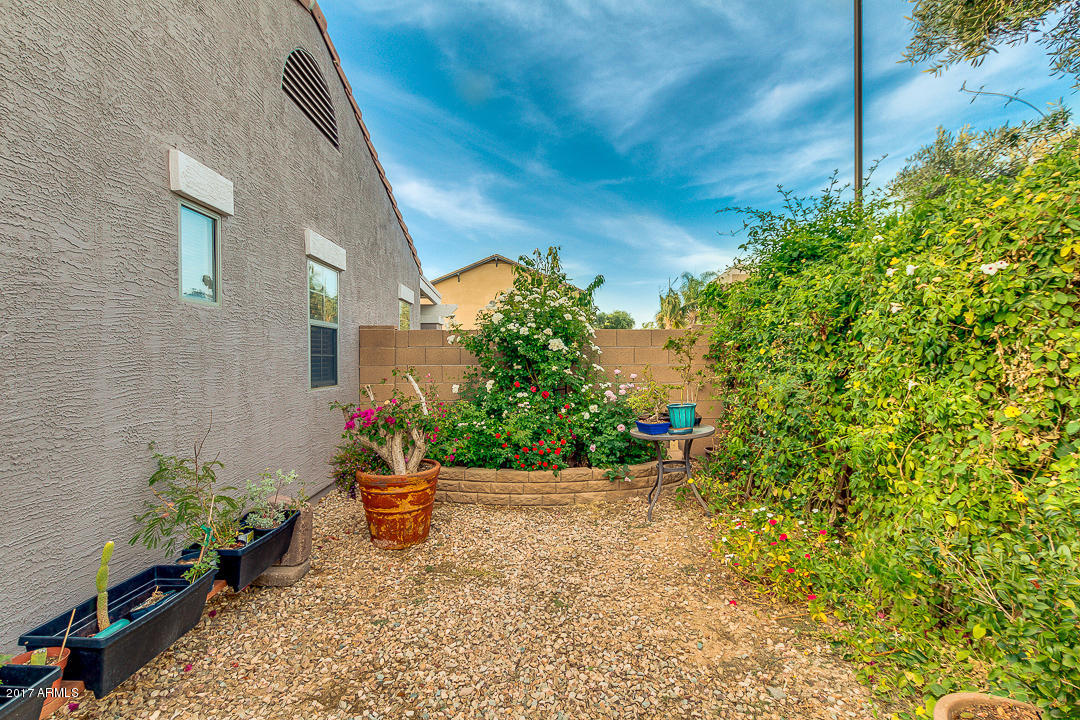 3549 E Flower St, Gilbert, AZ 85298 photo 46