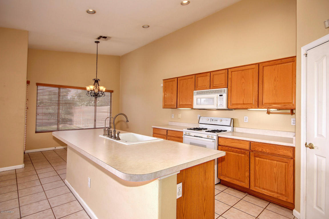 4617 E Mountain Sage Dr, Phoenix, AZ 85044 photo 5