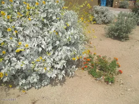 808 E Dobbins Rd, Phoenix, AZ 85042 photo 12