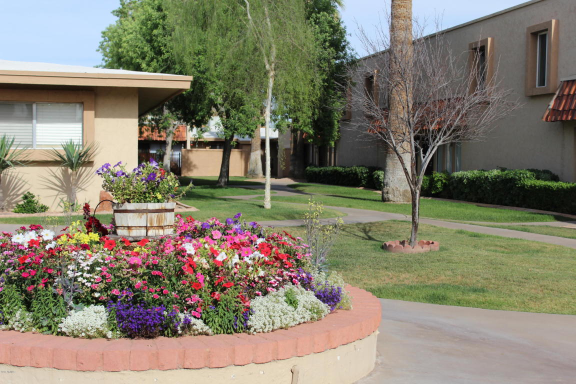 1320 E Bethany Home Rd #101, Phoenix, AZ 85014 photo 5