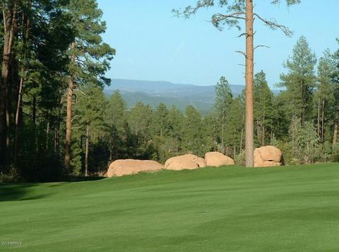 2007 E Feather Plume Ln, Payson, AZ 85541 photo 48