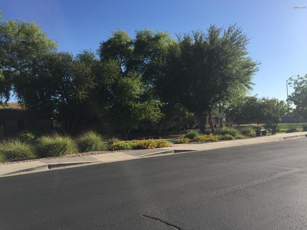 1731 N Seton St, Mesa, AZ 85205 photo 8