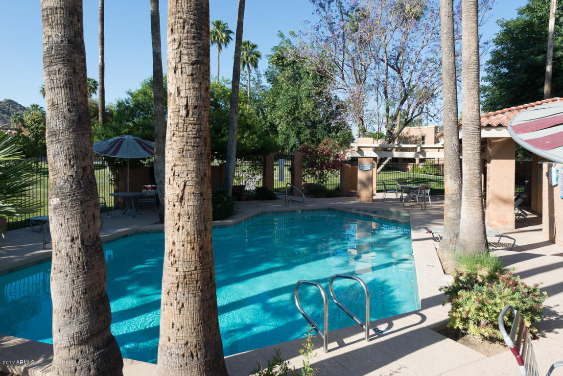 1101 E Tapatio Dr, Phoenix, AZ 85020 photo 4