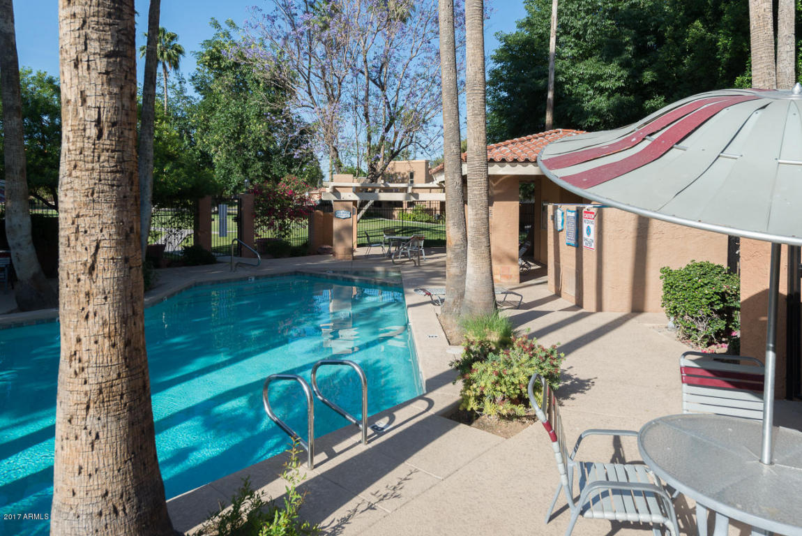 1101 E Tapatio Dr, Phoenix, AZ 85020 photo 28