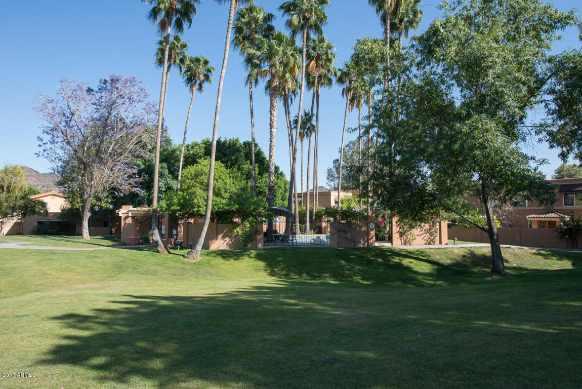 1101 E Tapatio Dr, Phoenix, AZ 85020 photo 26