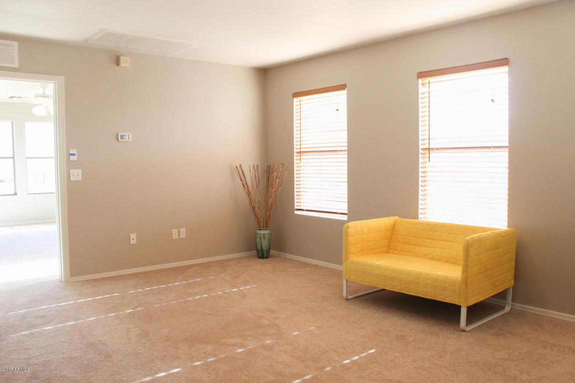 201 E Milada Dr, Phoenix, AZ 85042 photo 24
