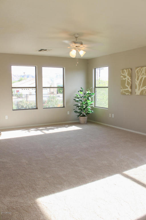 201 E Milada Dr, Phoenix, AZ 85042 photo 26