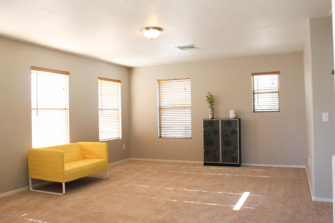 201 E Milada Dr, Phoenix, AZ 85042 photo 22