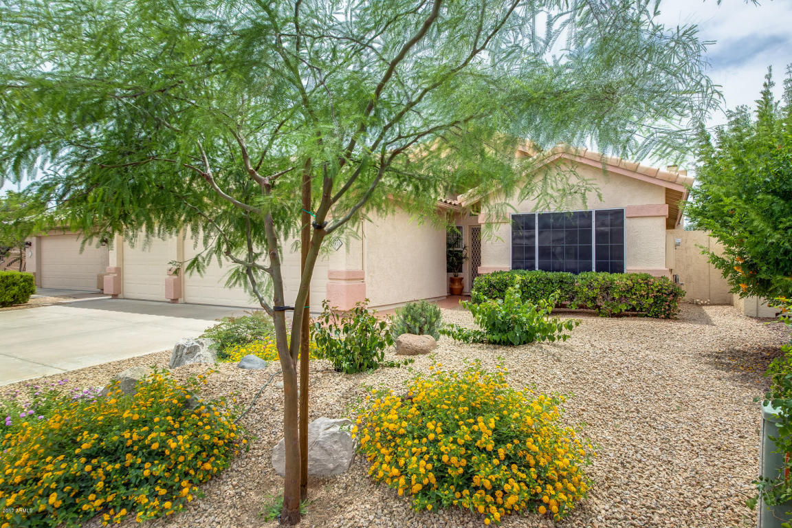 3421 E Kerry Ln, Phoenix, AZ 85050 photo 13
