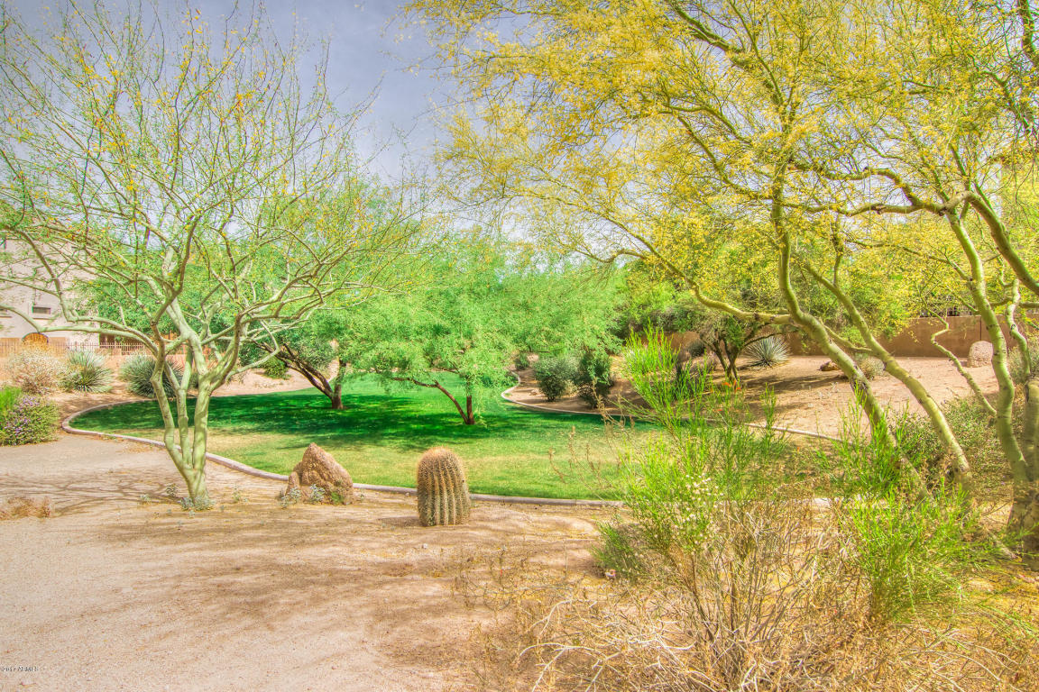 2732 N Augustine St, Mesa, AZ 85207 photo 9