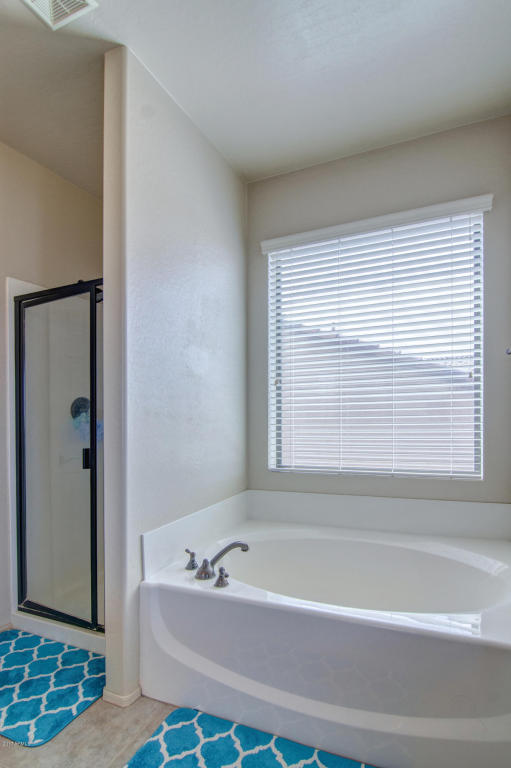 2732 N Augustine St, Mesa, AZ 85207 photo 40