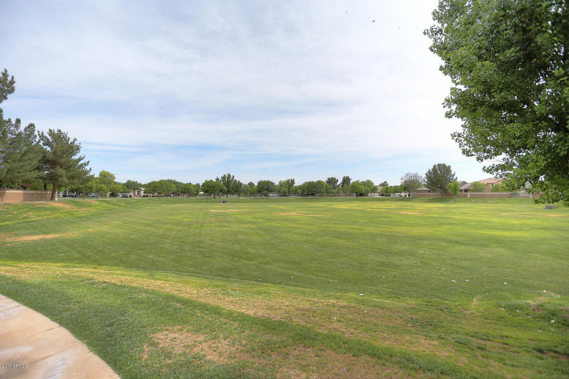 3318 E Park Ave, Gilbert, AZ 85234 photo 44