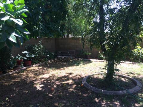 2939 E Gable Cir, Mesa, AZ 85204 photo 12