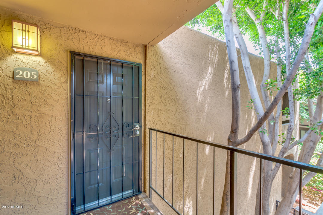 3825 E Camelback Rd #205, Phoenix, AZ 85018 photo 1