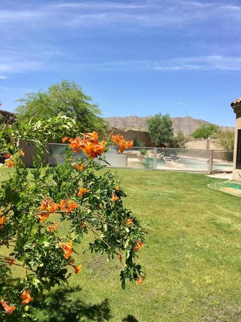 305 E Hiddenview Dr, Phoenix, AZ 85048 photo 26