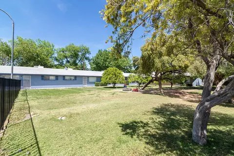 447 S Olive --, Mesa, AZ 85204 photo 16
