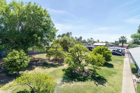 447 S Olive --, Mesa, AZ 85204 photo 28