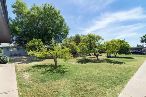 447 S Olive --, Mesa, AZ 85204 photo 19
