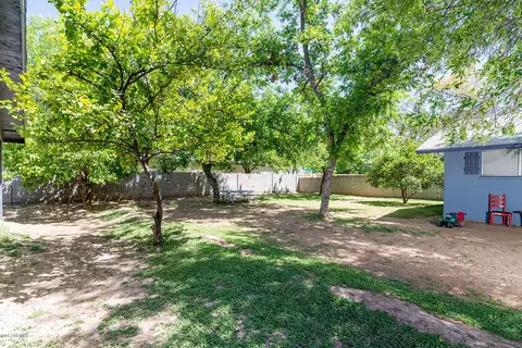 447 S Olive --, Mesa, AZ 85204 photo 11