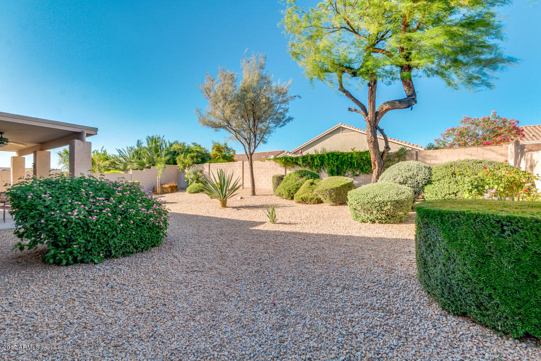 4704 E Robin Ln, Phoenix, AZ 85050 photo 44