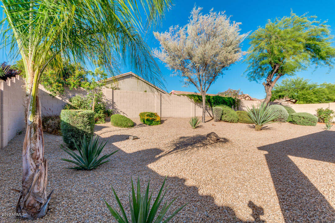 4704 E Robin Ln, Phoenix, AZ 85050 photo 43