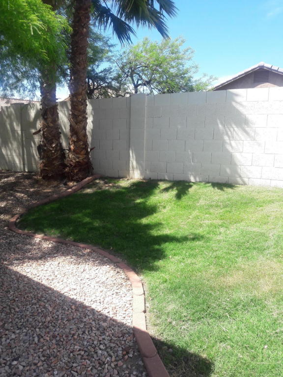3118 E Kerry Ln, Phoenix, AZ 85050 photo 8
