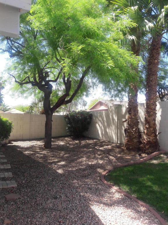 3118 E Kerry Ln, Phoenix, AZ 85050 photo 7