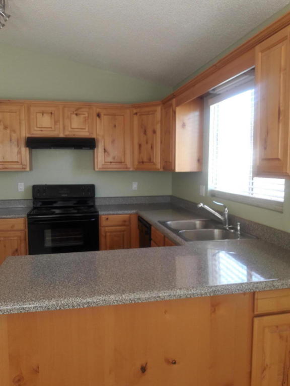 3118 E Kerry Ln, Phoenix, AZ 85050 photo 4