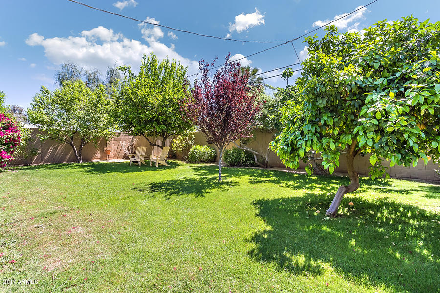2217 E Sells Dr, Phoenix, AZ 85016 photo 9