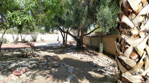 9153 E Gary Ln, Mesa, AZ 85207 photo 28