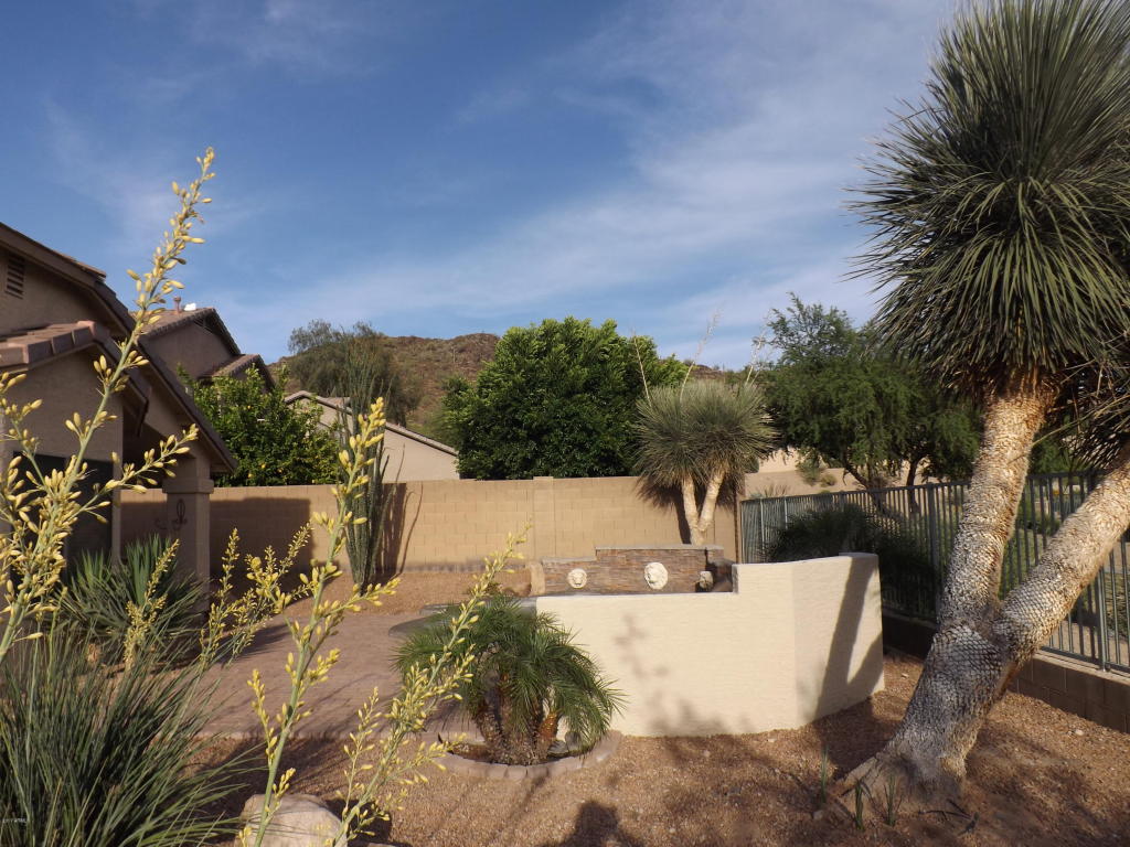 25838 N Singbush Loop, Phoenix, AZ 85083 photo 8