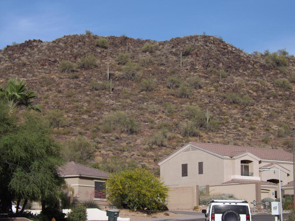 25838 N Singbush Loop, Phoenix, AZ 85083 photo 18