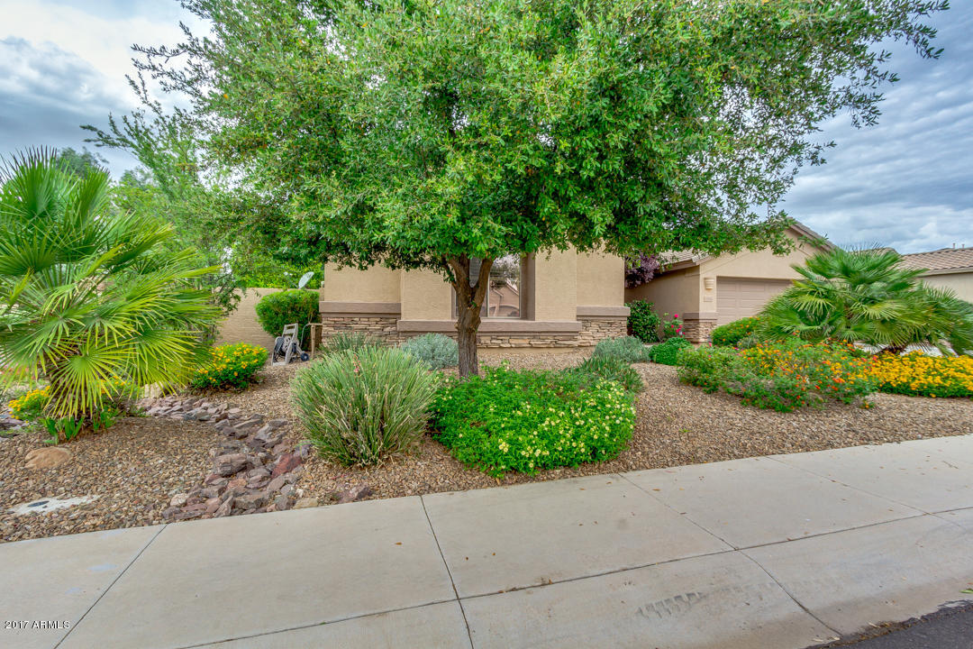 6450 S Trophy Ct, Gilbert, AZ 85298 photo 5