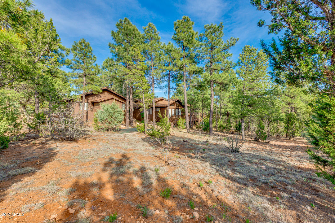 2871 Fourpoint Rd, Overgaard, AZ 85933 photo 42
