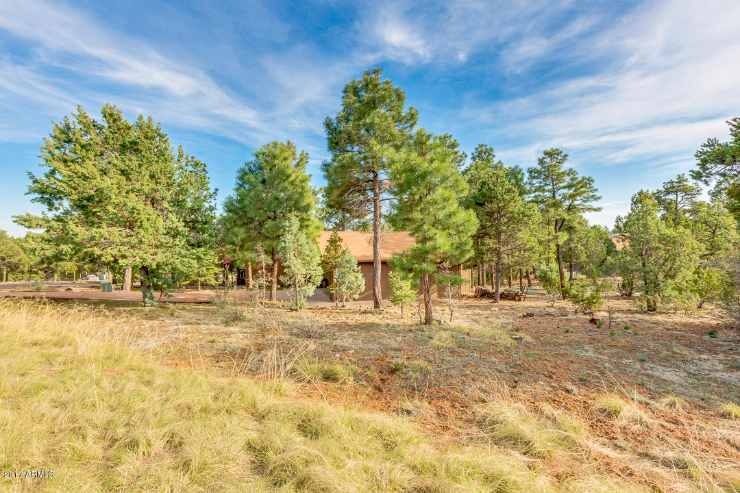 2871 Fourpoint Rd, Overgaard, AZ 85933 photo 43