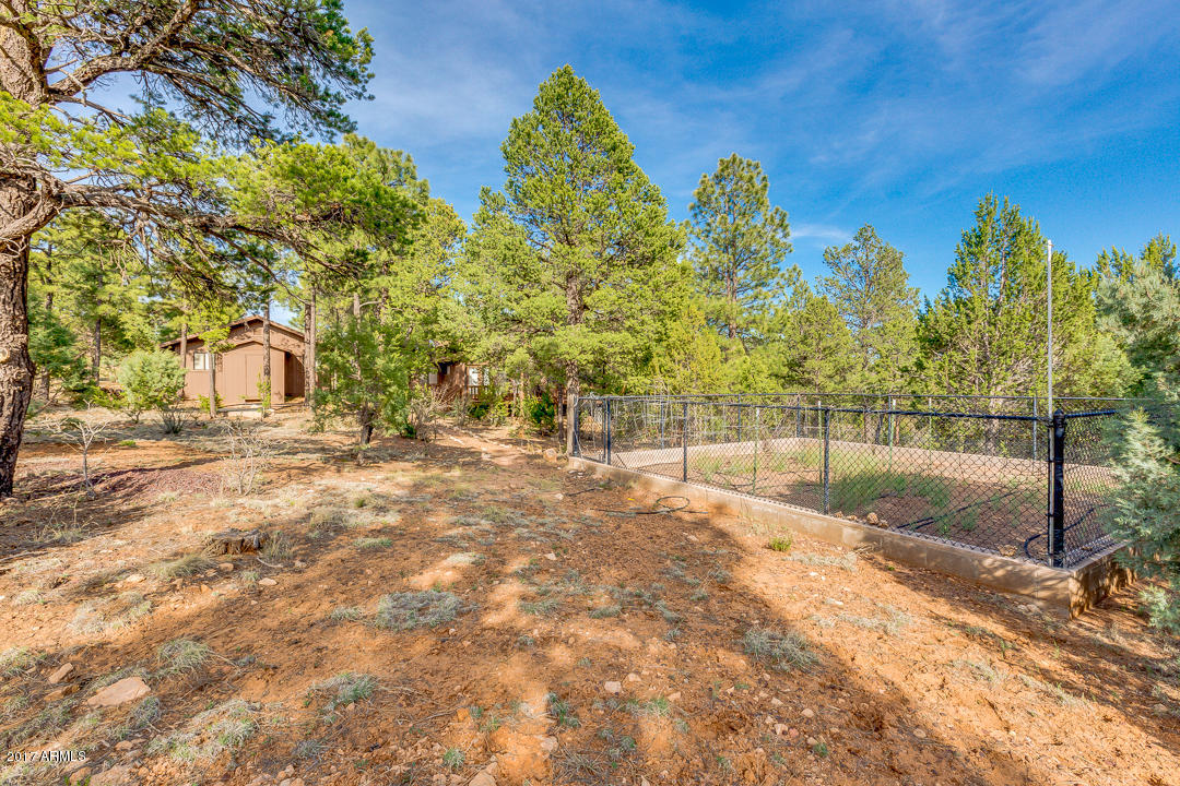 2871 Fourpoint Rd, Overgaard, AZ 85933 photo 41