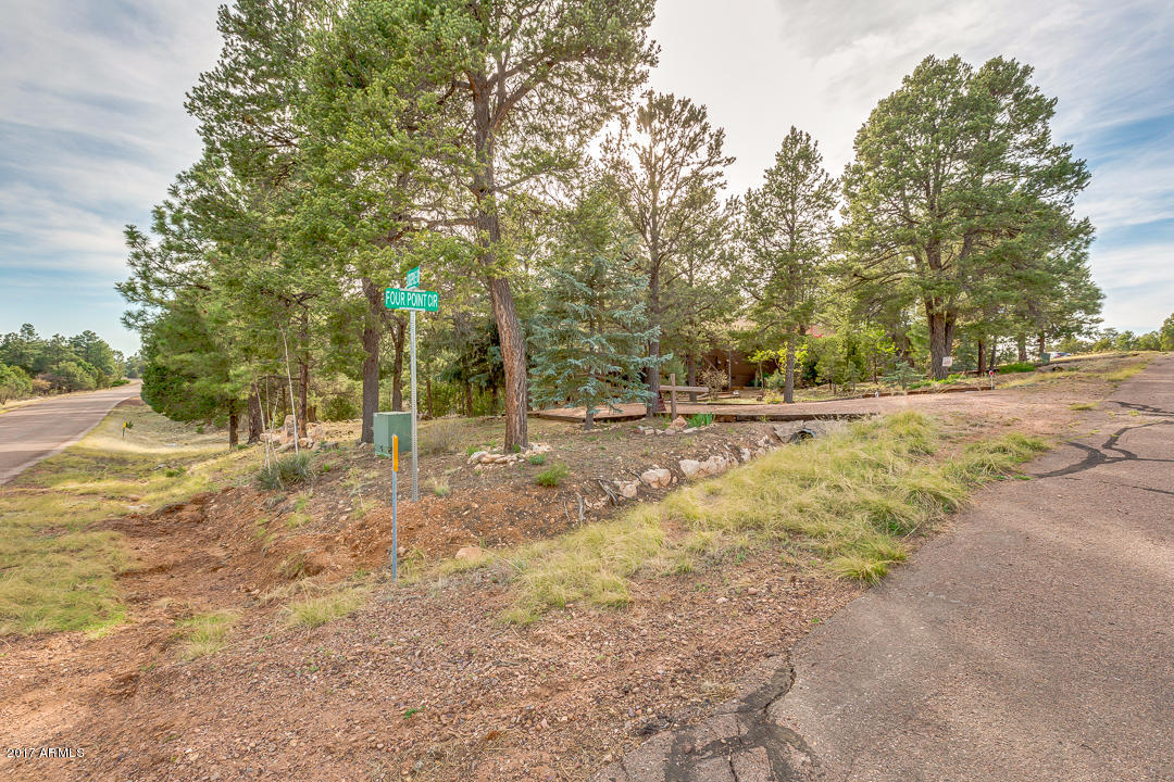 2871 Fourpoint Rd, Overgaard, AZ 85933 photo 45