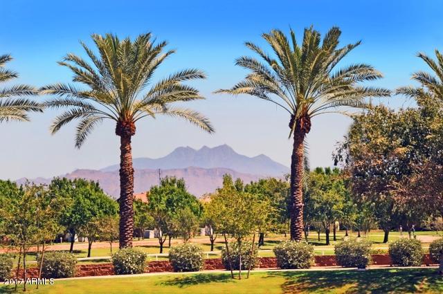 3074 E Spring Wheat Ln, Gilbert, AZ 85296 photo 10