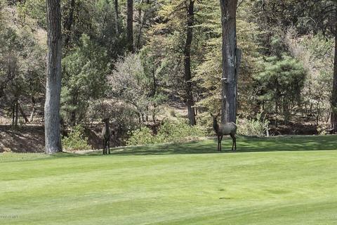 2403 E Scarlet Bugler Cir, Payson, AZ 85541 photo 7