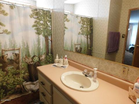 3152 Tonto Dr, Overgaard, AZ 85933 photo 25