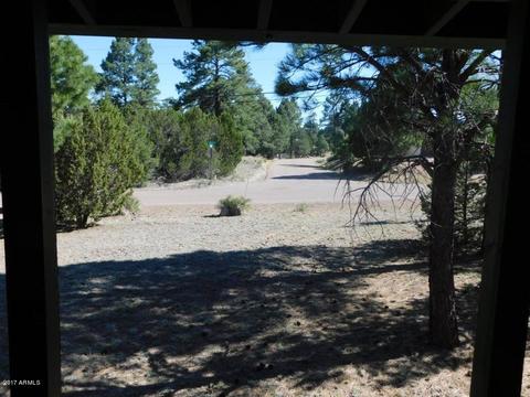 3152 Tonto Dr, Overgaard, AZ 85933 photo 5