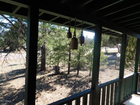 3152 Tonto Dr, Overgaard, AZ 85933 photo 4