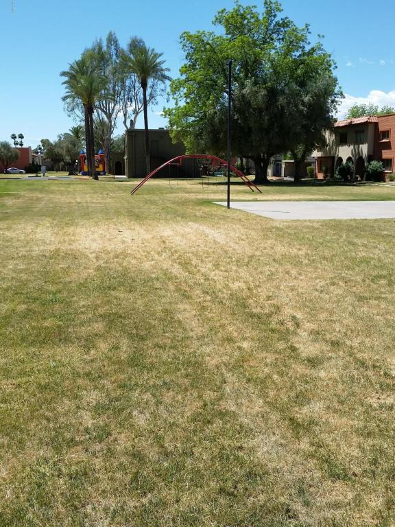 2952 E Clarendon Ave, Phoenix, AZ 85016 photo 13