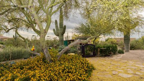 8023 E Quenton St, Mesa, AZ 85207 photo 55